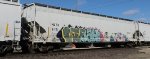 HLTX 6117